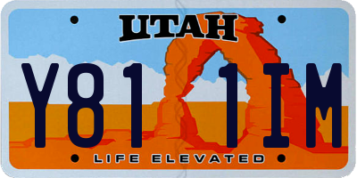 UT license plate Y811IM