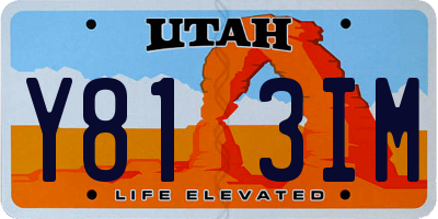 UT license plate Y813IM