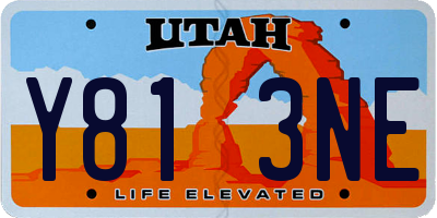 UT license plate Y813NE
