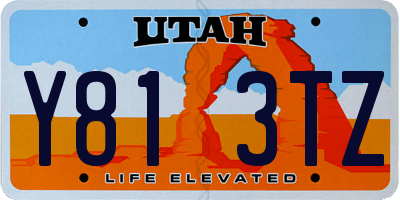 UT license plate Y813TZ