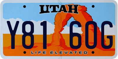 UT license plate Y816OG