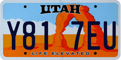 UT license plate Y817EU