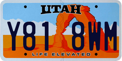UT license plate Y818WM
