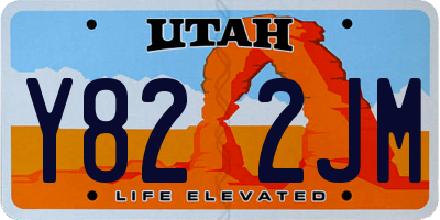 UT license plate Y822JM