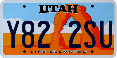 UT license plate Y822SU