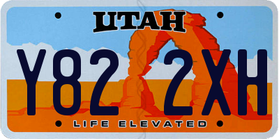 UT license plate Y822XH