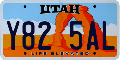 UT license plate Y825AL
