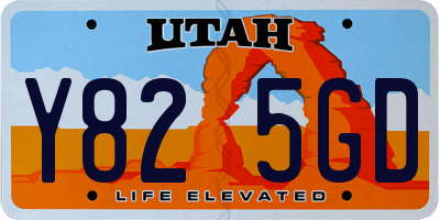 UT license plate Y825GD