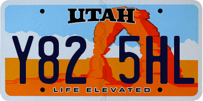 UT license plate Y825HL