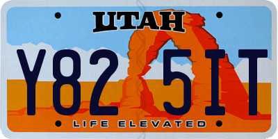 UT license plate Y825IT