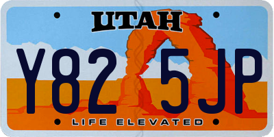 UT license plate Y825JP