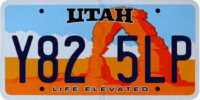 UT license plate Y825LP