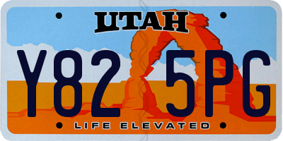 UT license plate Y825PG