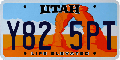 UT license plate Y825PT