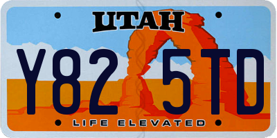 UT license plate Y825TD