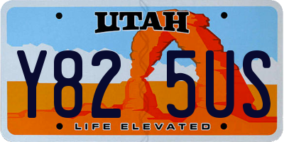 UT license plate Y825US