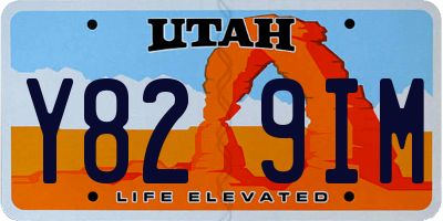 UT license plate Y829IM