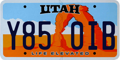 UT license plate Y850IB
