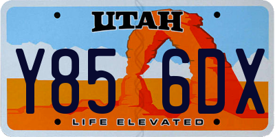 UT license plate Y856DX