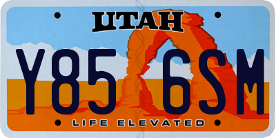 UT license plate Y856SM