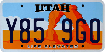 UT license plate Y859GO