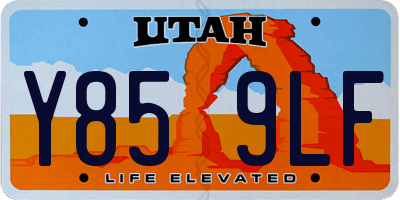 UT license plate Y859LF
