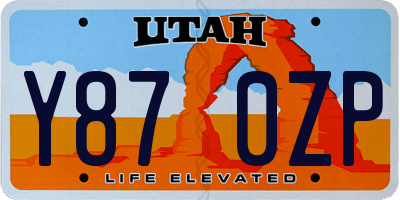 UT license plate Y870ZP