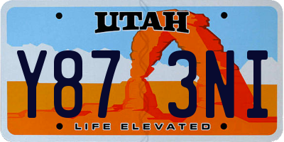 UT license plate Y873NI
