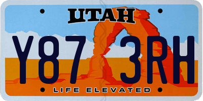 UT license plate Y873RH