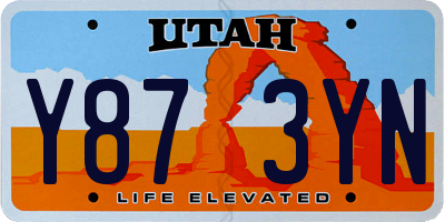 UT license plate Y873YN