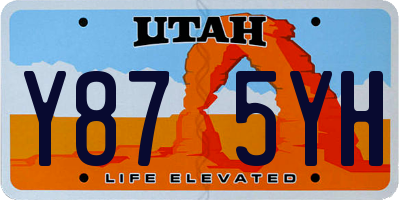 UT license plate Y875YH