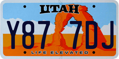 UT license plate Y877DJ