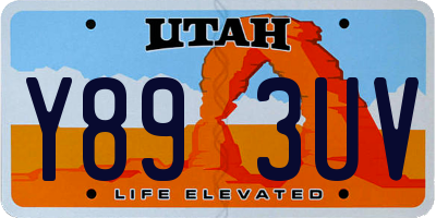 UT license plate Y893UV