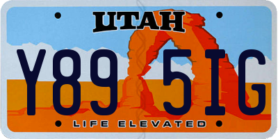 UT license plate Y895IG