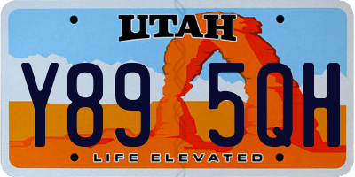 UT license plate Y895QH