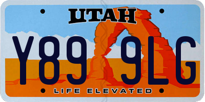 UT license plate Y899LG