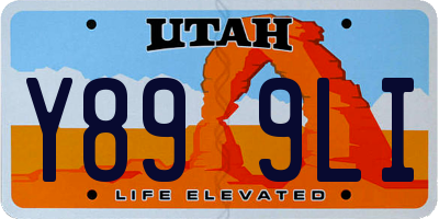 UT license plate Y899LI