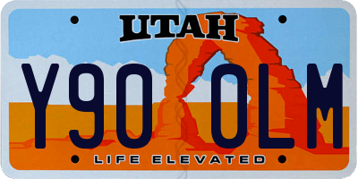 UT license plate Y900LM