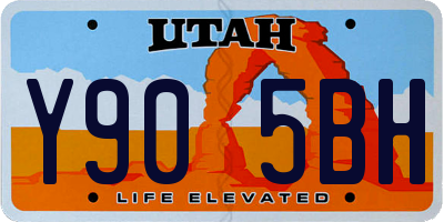 UT license plate Y905BH