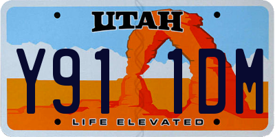 UT license plate Y911DM