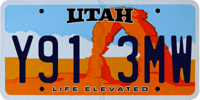 UT license plate Y913MW