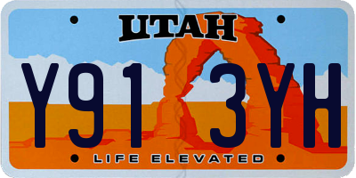 UT license plate Y913YH