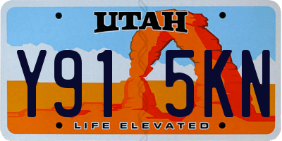 UT license plate Y915KN