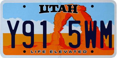 UT license plate Y915WM