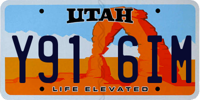 UT license plate Y916IM