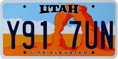 UT license plate Y917UN