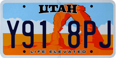 UT license plate Y918PJ