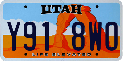 UT license plate Y918WO