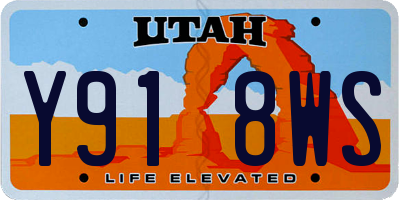 UT license plate Y918WS