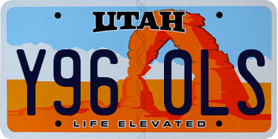 UT license plate Y960LS